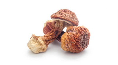 Agaricus Blazei Murill Mushroom Extract