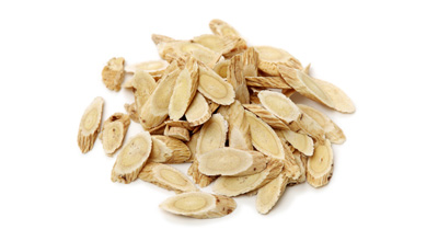 Astragalus Root