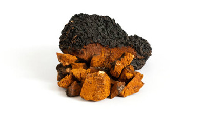 Chaga Mushroom Extract 8:1 Organic