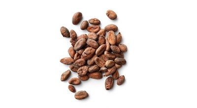 Chocamine® Cocoa Extract