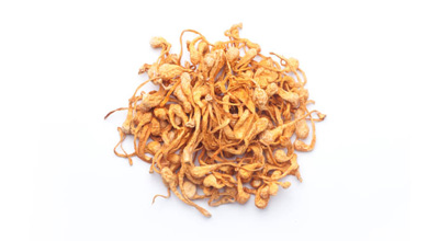 Cordyceps Mushroom Extract 8:1 Organic