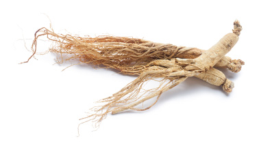 Panax Ginseng Root Extract 20%