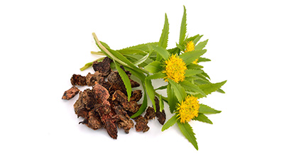 Rhodiola Rosea 3R/1S